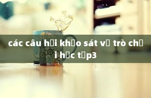 các câu hỏi khảo sát về trò chơi học tập3