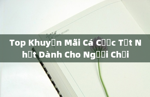 Top Khuyến Mãi Cá Cược Tốt Nhất Dành Cho Người Chơi