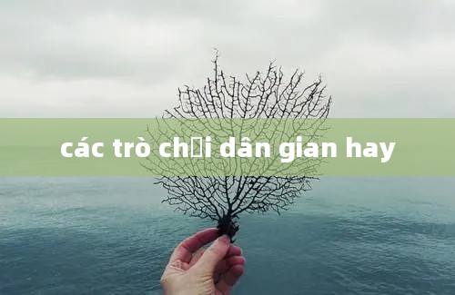 các trò chơi dân gian hay