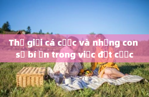 Thế giới cá cược và những con số bí ẩn trong việc đặt cược