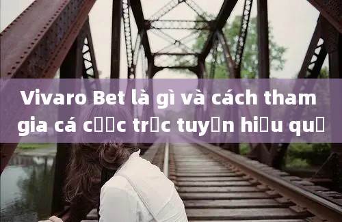 Vivaro Bet là gì và cách tham gia cá cược trực tuyến hiệu quả