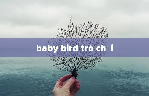 baby bird trò chơi