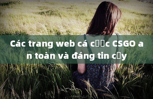 Các trang web cá cược CSGO an toàn và đáng tin cậy