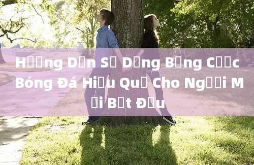 Hướng Dẫn Sử Dụng Bảng Cược Bóng Đá Hiệu Quả Cho Người Mới Bắt Đầu