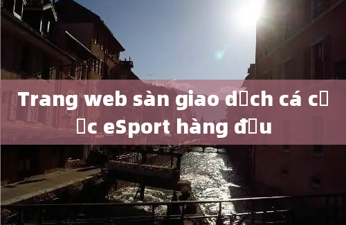 Trang web sàn giao dịch cá cược eSport hàng đầu