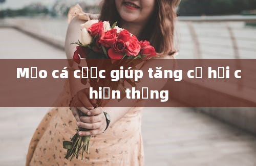 Mẹo cá cược giúp tăng cơ hội chiến thắng