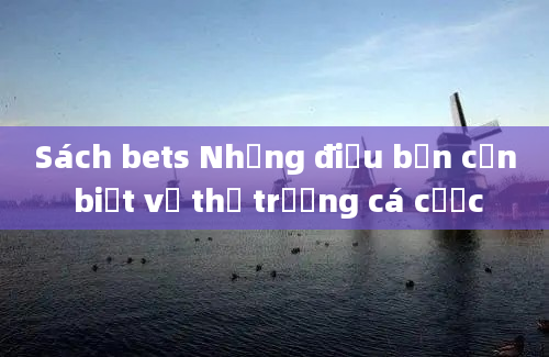 Sách bets Những điều bạn cần biết về thị trường cá cược