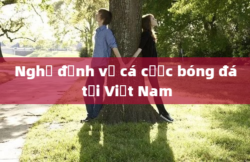 Nghị định về cá cược bóng đá tại Việt Nam