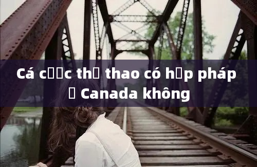 Cá cược thể thao có hợp pháp ở Canada không