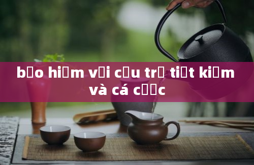 bảo hiểm với cứu trợ tiết kiệm và cá cược