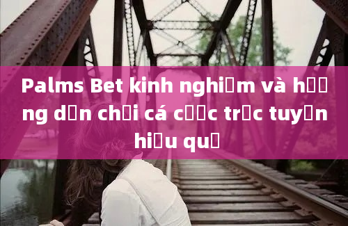 Palms Bet kinh nghiệm và hướng dẫn chơi cá cược trực tuyến hiệu quả