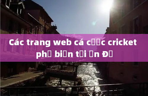 Các trang web cá cược cricket phổ biến tại Ấn Độ