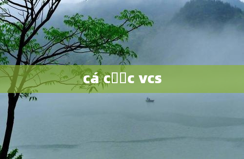 cá cược vcs