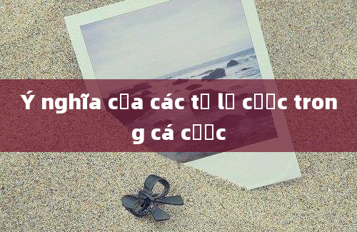 Ý nghĩa của các tỷ lệ cược trong cá cược