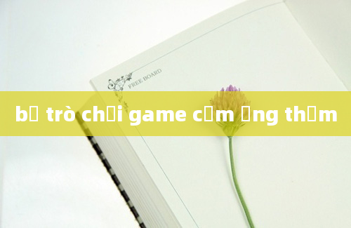 bộ trò chơi game cảm ứng thảm