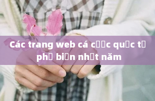 Các trang web cá cược quốc tế phổ biến nhất năm