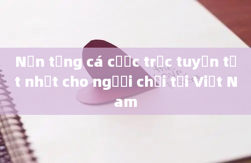 Nền tảng cá cược trực tuyến tốt nhất cho người chơi tại Việt Nam