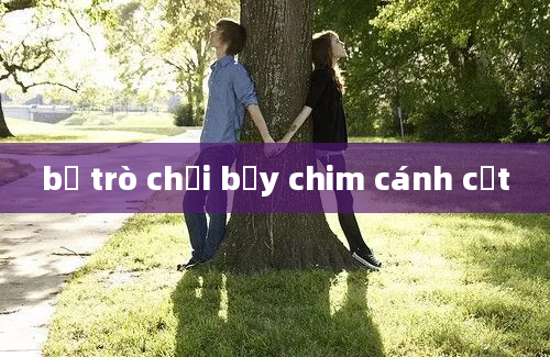 bộ trò chơi bẫy chim cánh cụt