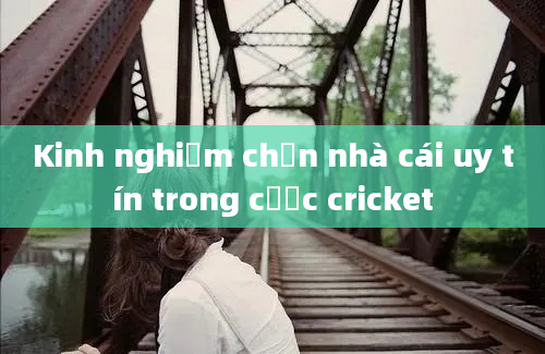 Kinh nghiệm chọn nhà cái uy tín trong cược cricket