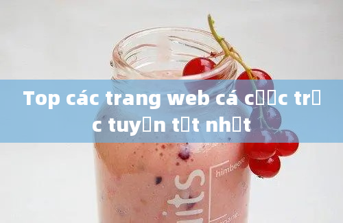 Top các trang web cá cược trực tuyến tốt nhất