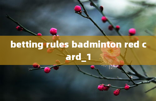 betting rules badminton red card_1