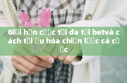 Giới hạn cược tối đa tại betvà cách tối ưu hóa chiến lược cá cược