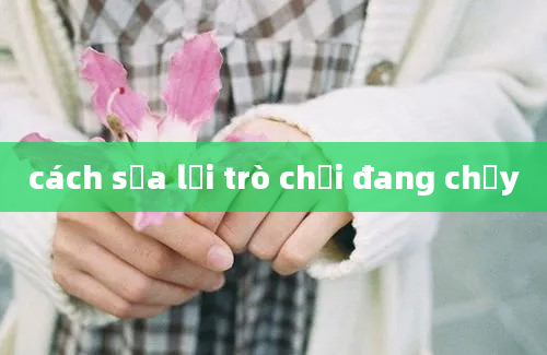 cách sửa lỗi trò chơi đang chậy