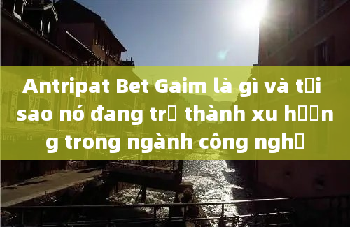 Antripat Bet Gaim là gì và tại sao nó đang trở thành xu hướng trong ngành công nghệ