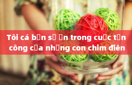 Tôi cá bạn sẽ ổn trong cuộc tấn công của những con chim điên