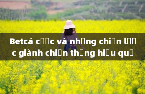 Betcá cược và những chiến lược giành chiến thắng hiệu quả