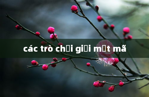 các trò chơi giải mật mã