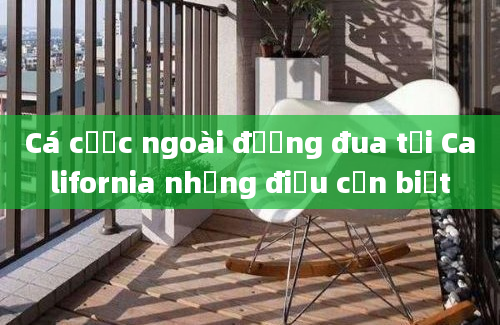 Cá cược ngoài đường đua tại California những điều cần biết