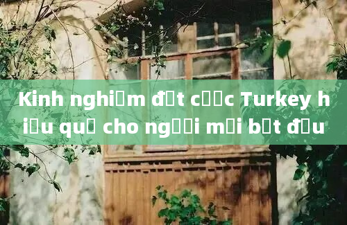 Kinh nghiệm đặt cược Turkey hiệu quả cho người mới bắt đầu