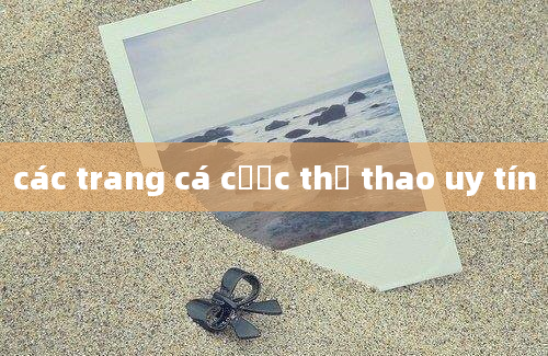 các trang cá cược thể thao uy tín