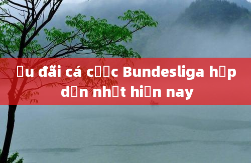 Ưu đãi cá cược Bundesliga hấp dẫn nhất hiện nay