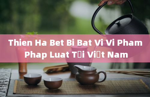 Thien Ha Bet Bi Bat Vi Vi Pham Phap Luat Tại Việt Nam