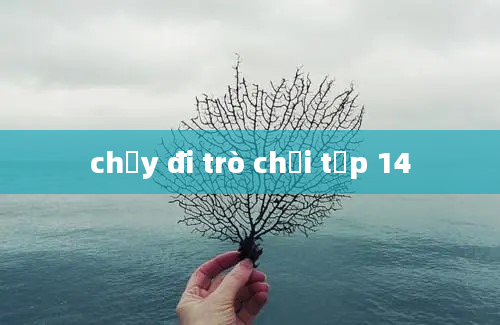 chạy đi trò chơi tập 14