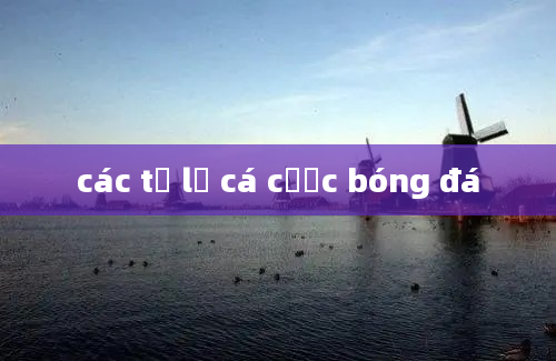 các tỷ lệ cá cược bóng đá