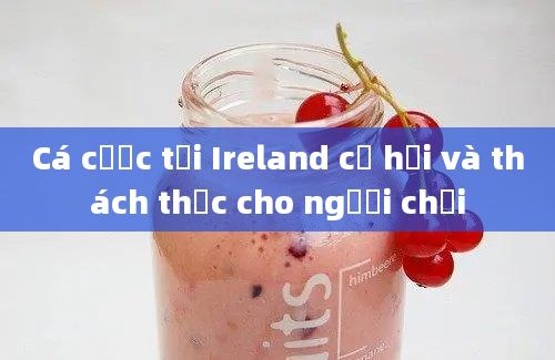 Cá cược tại Ireland cơ hội và thách thức cho người chơi