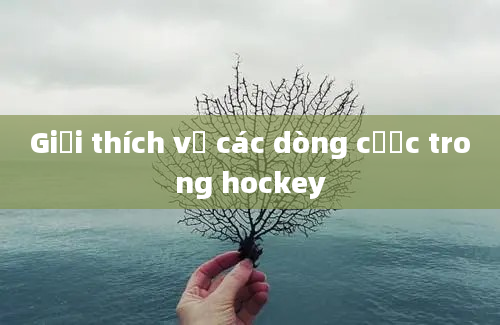 Giải thích về các dòng cược trong hockey