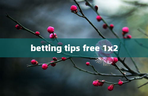 betting tips free 1x2