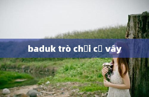 baduk trò chơi cờ vây