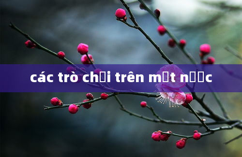 các trò chơi trên mặt nước