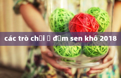 các trò chơi ở đầm sen khô 2018