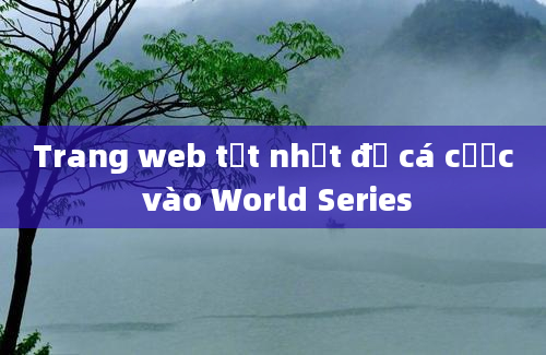 Trang web tốt nhất để cá cược vào World Series