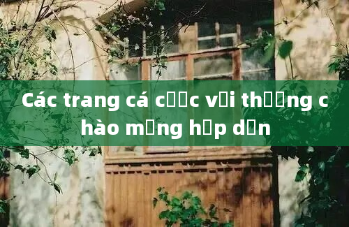 Các trang cá cược với thưởng chào mừng hấp dẫn