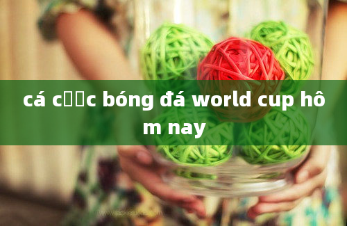 cá cược bóng đá world cup hôm nay