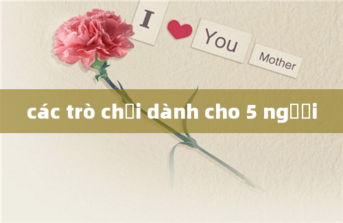 các trò chơi dành cho 5 người