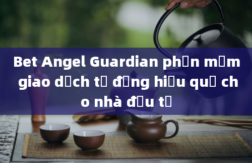 Bet Angel Guardian phần mềm giao dịch tự động hiệu quả cho nhà đầu tư