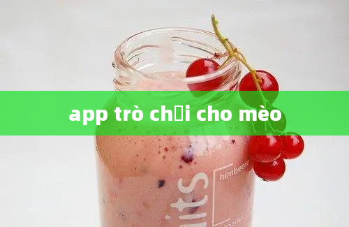 app trò chơi cho mèo